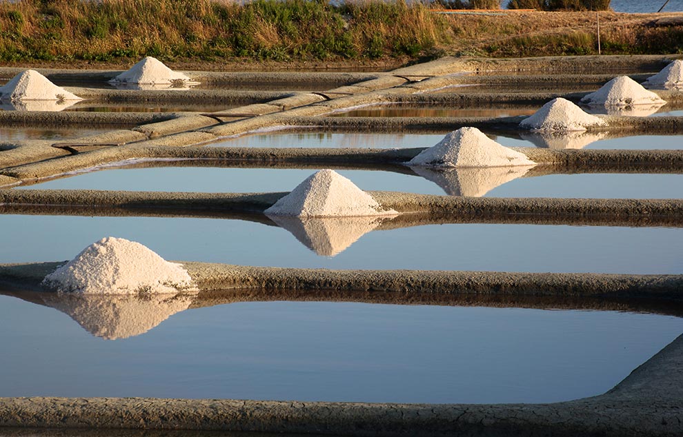Marais salants de l'île de Ré image 3