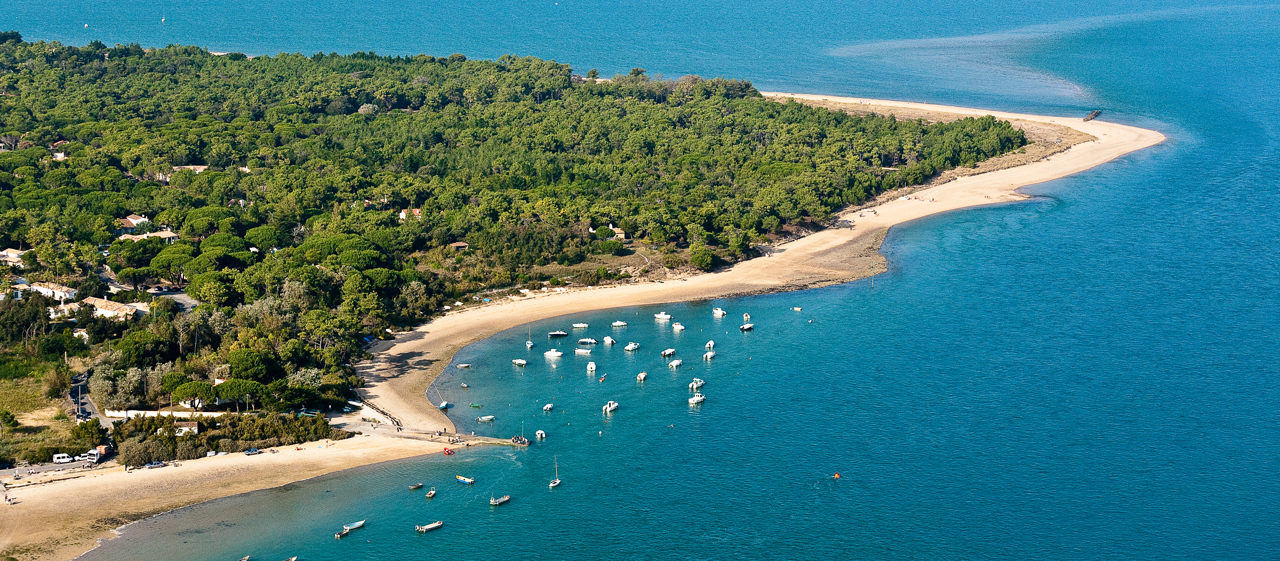 Plage de l'île de Ré image 4
