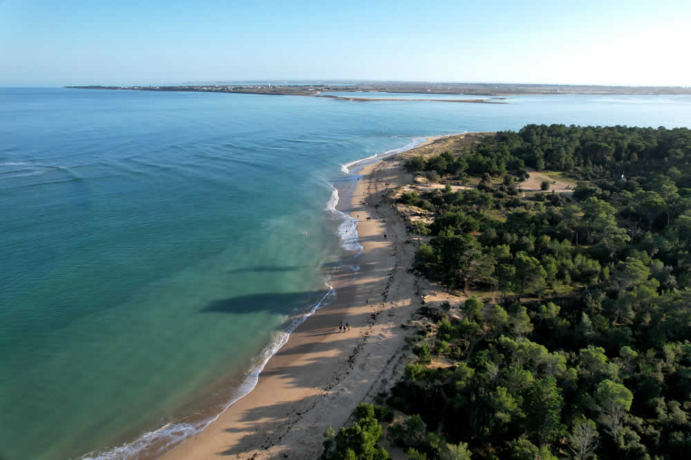 Plage de l'île de Ré image 5