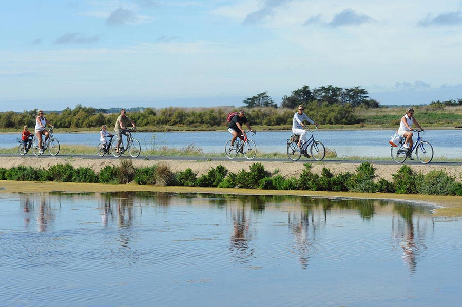 Balade à vélo sur l'île de Ré image 3