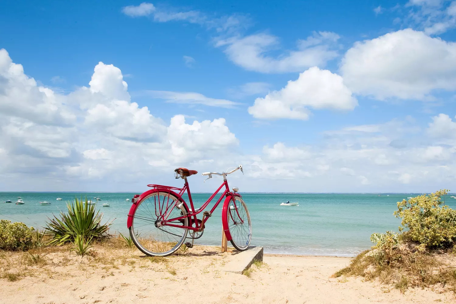 Balade à vélo sur l'île de Ré image 4